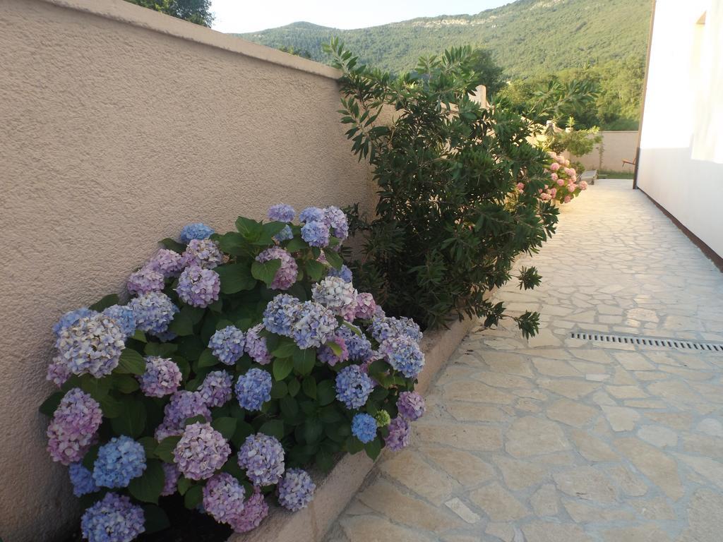 Apartmani Bulajic Tivat Exterior foto